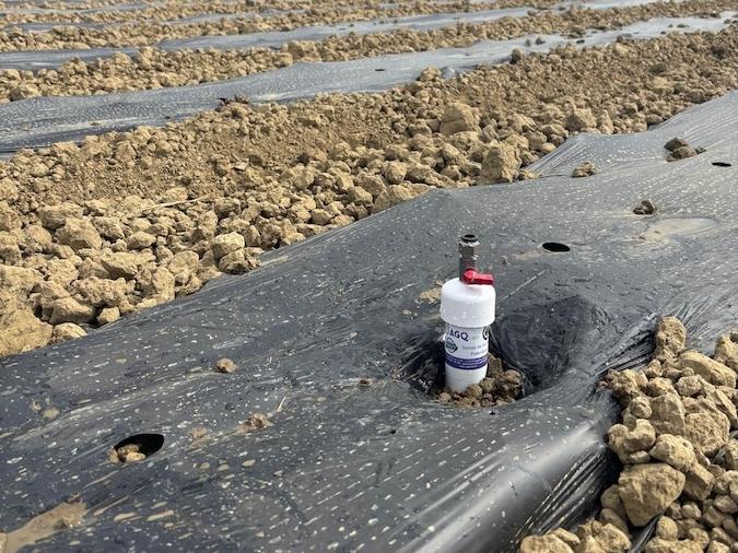 Agribologna, al via il progetto F.i.r.o.