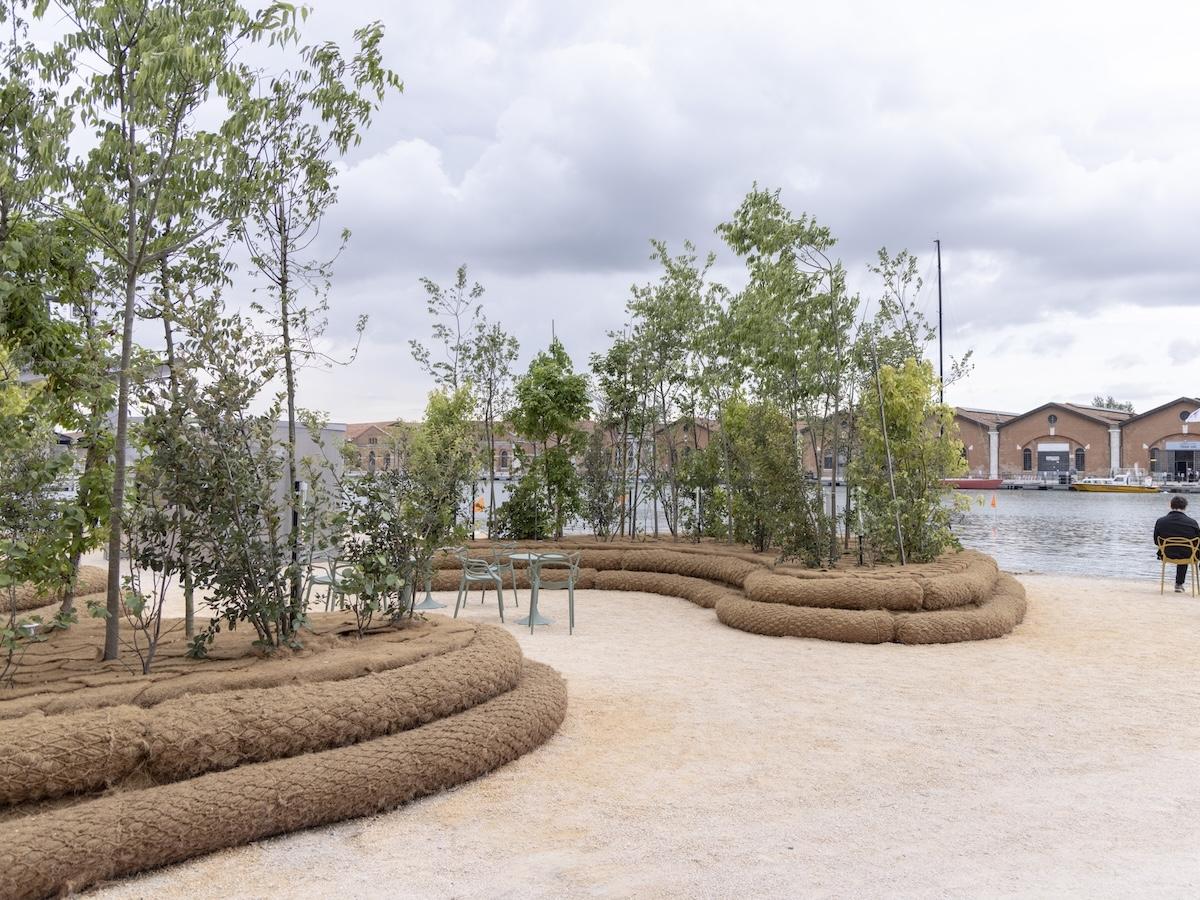 Mutti supporta il progetto "Cool Forest"