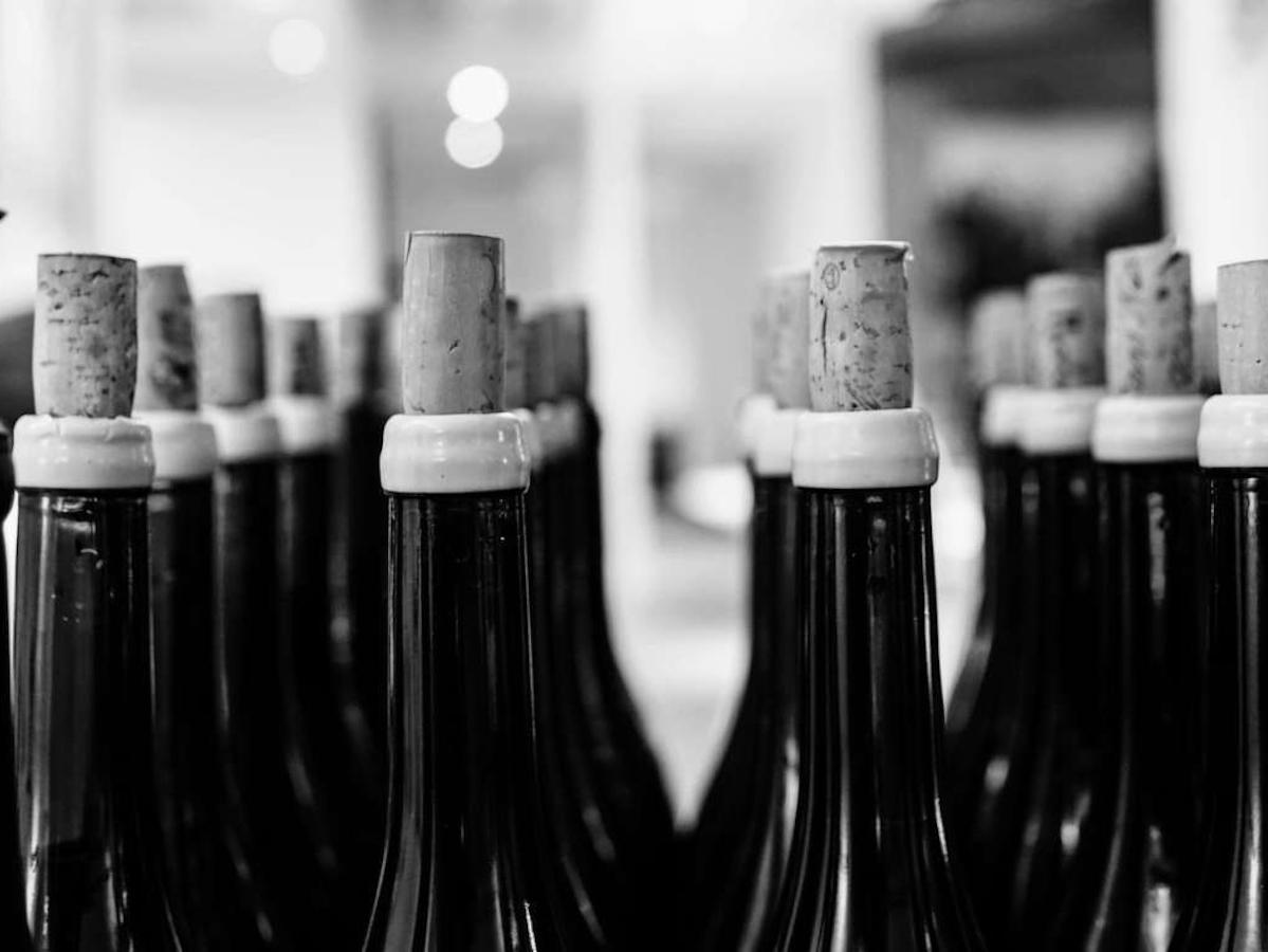 Il Wms ottimizza la logistica delle cantine vinicole