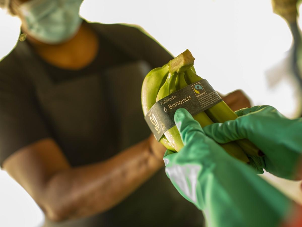 Fairtrade, 2024 anno di crescita in Italia