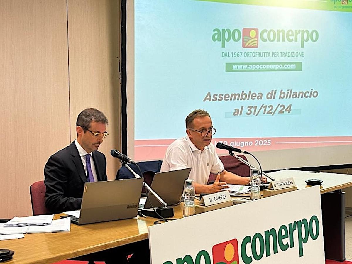 Apo Conerpo, nel 2024 crescono conferimenti e fatturato - Distribuzione Moderna Apo Conerpo, nel 2024 crescono conferimenti e fatturato - Distribuzione Moderna