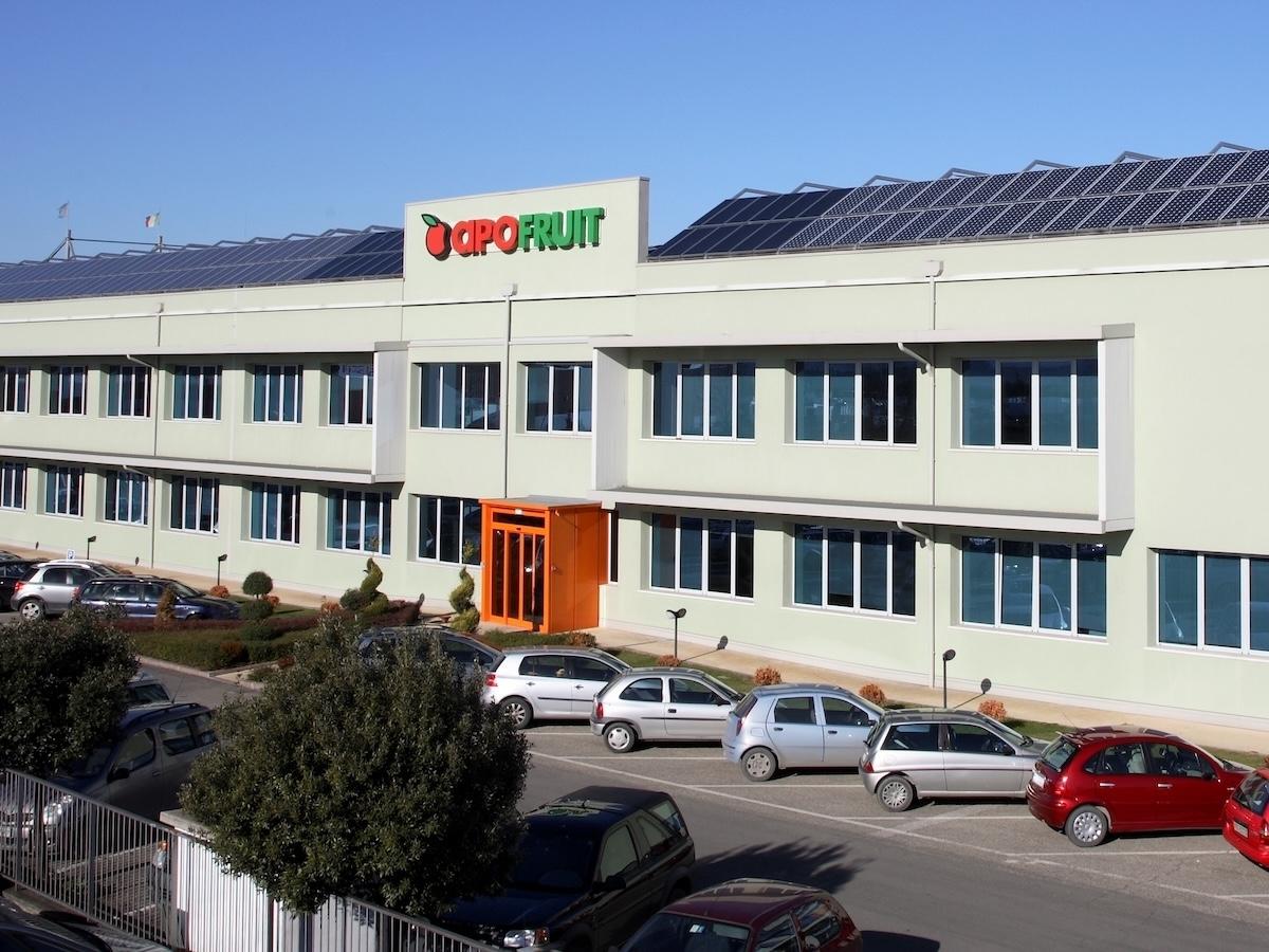 Apofruit Italia chiude il 2024 in positivo - Distribuzione Moderna Apofruit Italia chiude il 2024 in positivo - Distribuzione Moderna