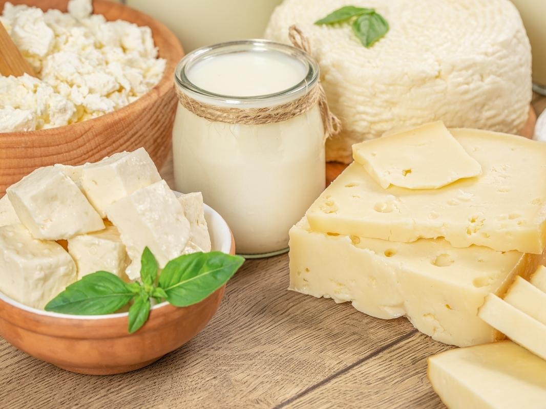 Formaggi - Distribuzione Moderna
