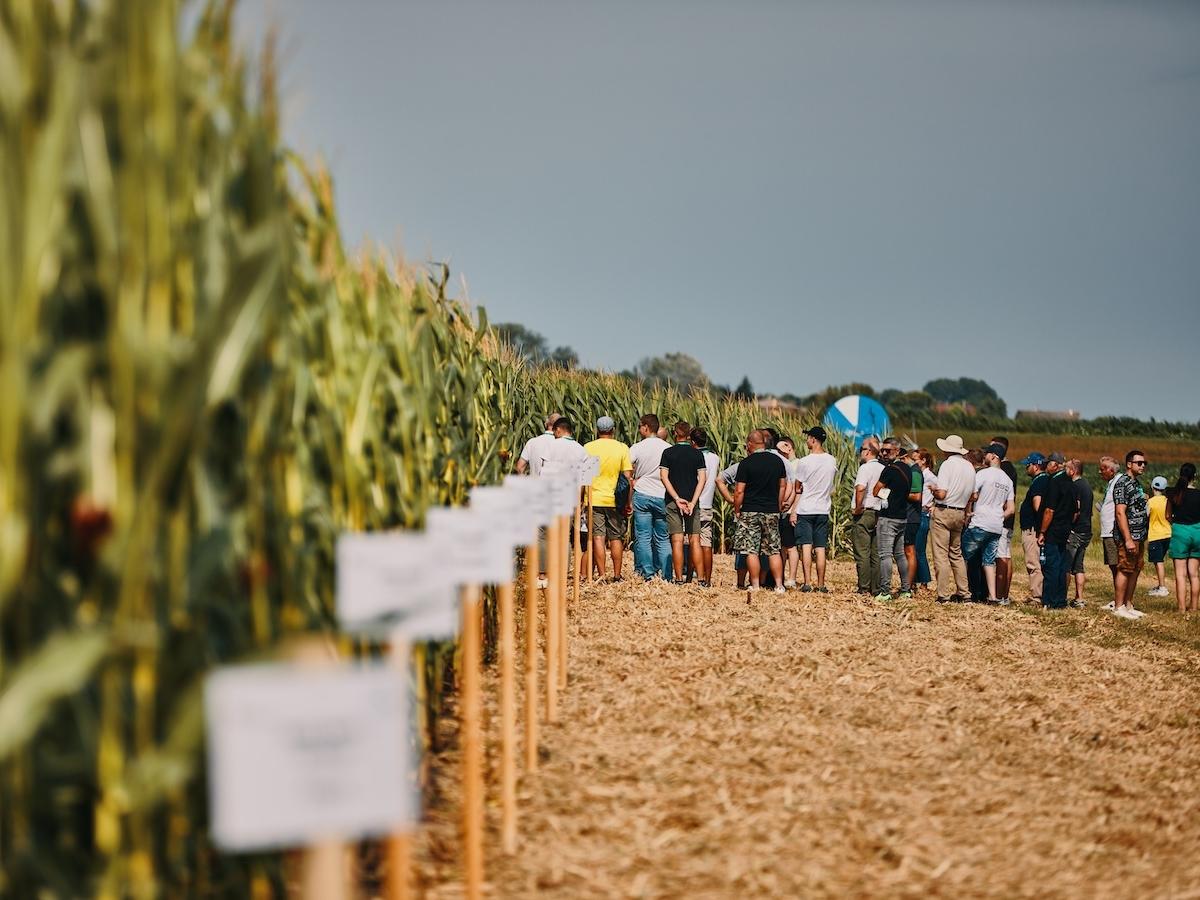 Cereal Docks ripropone InnCampo - Distribuzione Moderna Cereal Docks ripropone InnCampo - Distribuzione Moderna