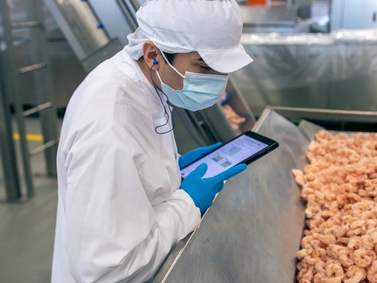 Il Gruppo Panapesca contribuisce alla crescita del mercato ittico surgelato. Fatturato a 148 milioni nel 2024 - Distribuzione Moderna