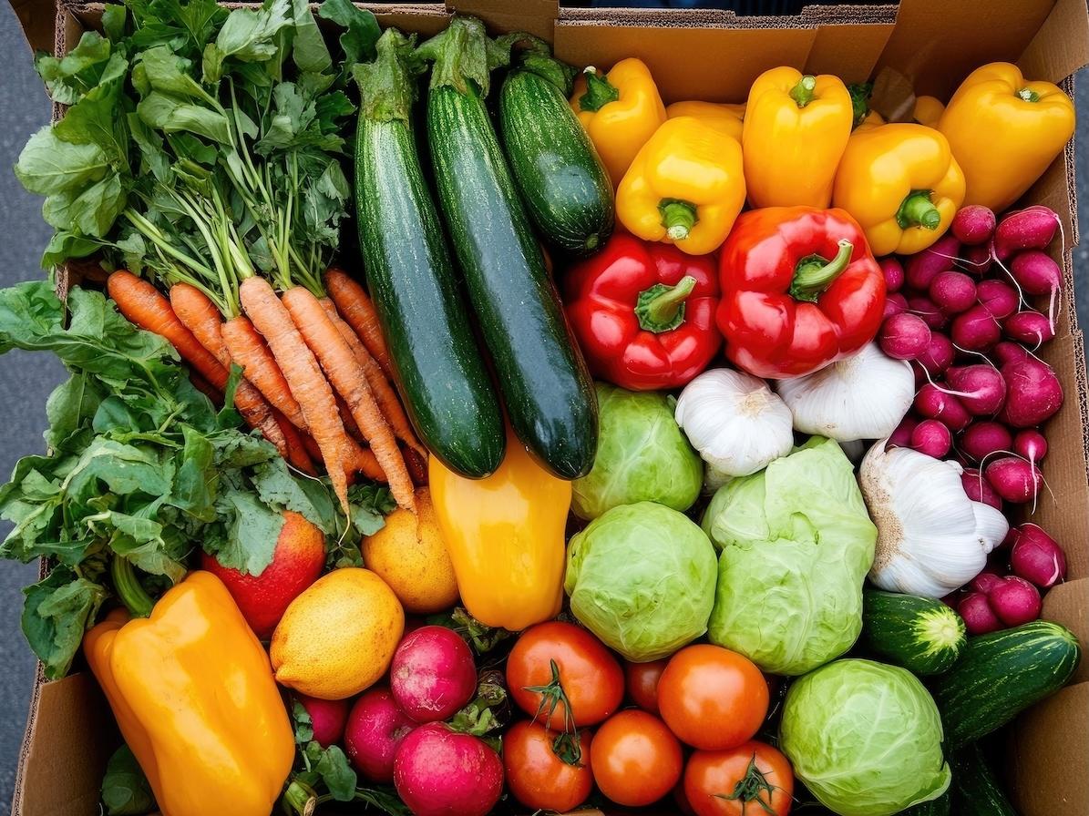 Agroalimentare nel I trimestre 2025, crescita economica del +0,7%, trainata dall’export  - Distribuzione Moderna