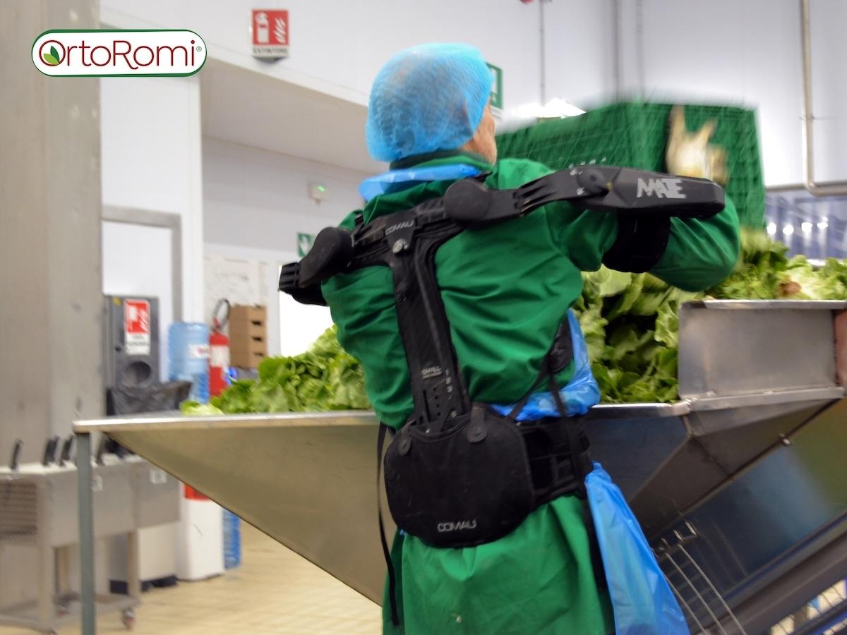 OrtoRomi introduce gli esoscheletri per la tutela della salute dei lavoratori nel settore ortofrutticolo - Distribuzione Moderna OrtoRomi introduce gli esoscheletri per la tutela della salute dei lavoratori nel settore ortofrutticolo - Distribuzione Moderna
