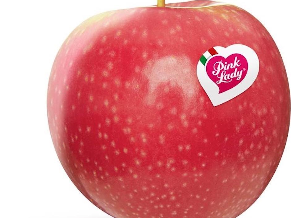 Pink Lady, posizione di primo piano nel mercato delle mele in Europa grazie a qualità e innovazione - Distribuzione Moderna Pink Lady, posizione di primo piano nel mercato delle mele in Europa grazie a qualità e innovazione - Distribuzione Moderna