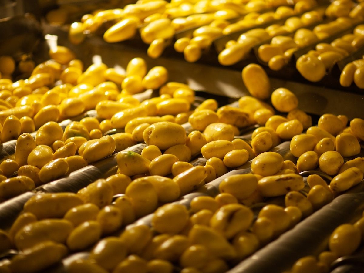 Investindustrial acquisisce Kiremko, Idaho Steel e Reyco unite nel food processing