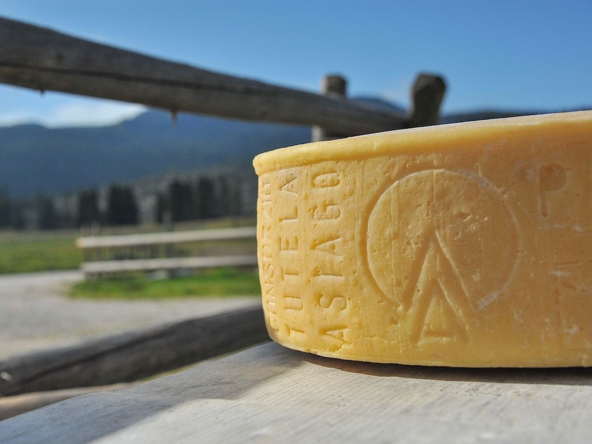 Asiago Dop: il "prodotto della montagna" attrae i Millennials grazie a un turismo sostenibile