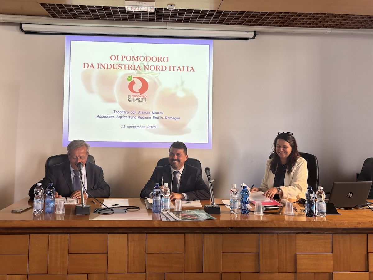 Campagna pomodoro: ottima qualità, ma rese sotto le aspettative al Nord