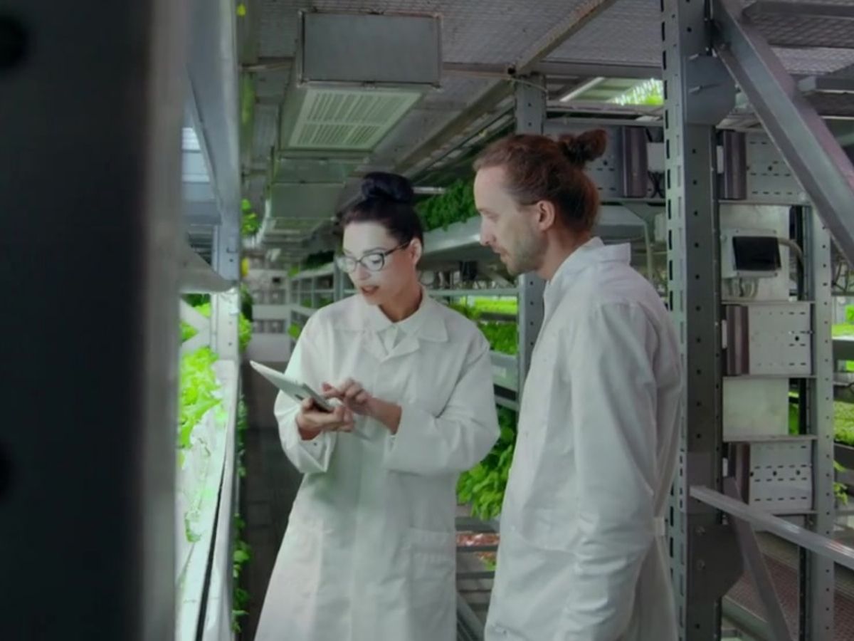 Nasce Foodtech Incubator, il programma che trasforma la ricerca in startup agroalimentari