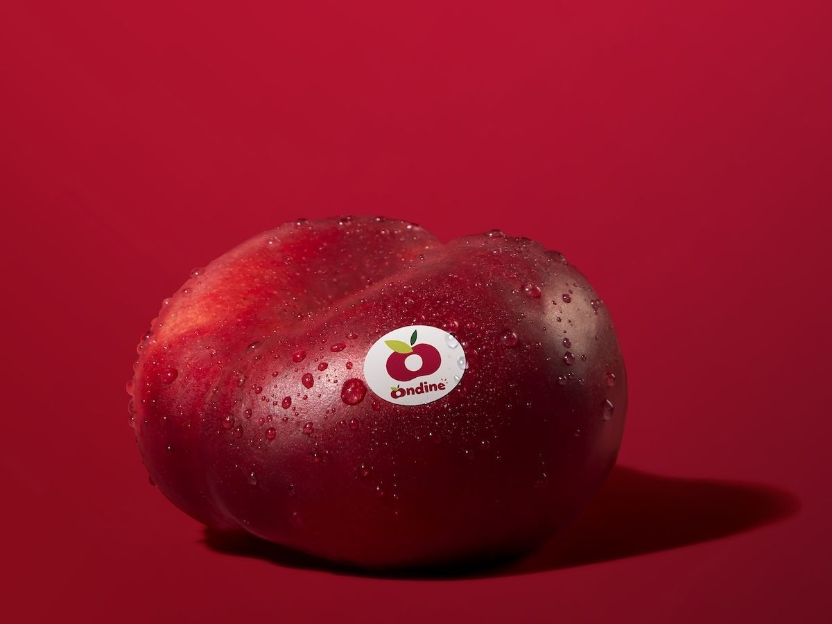 Ondine: bilancio positivo per la campagna “Snack the summer” 