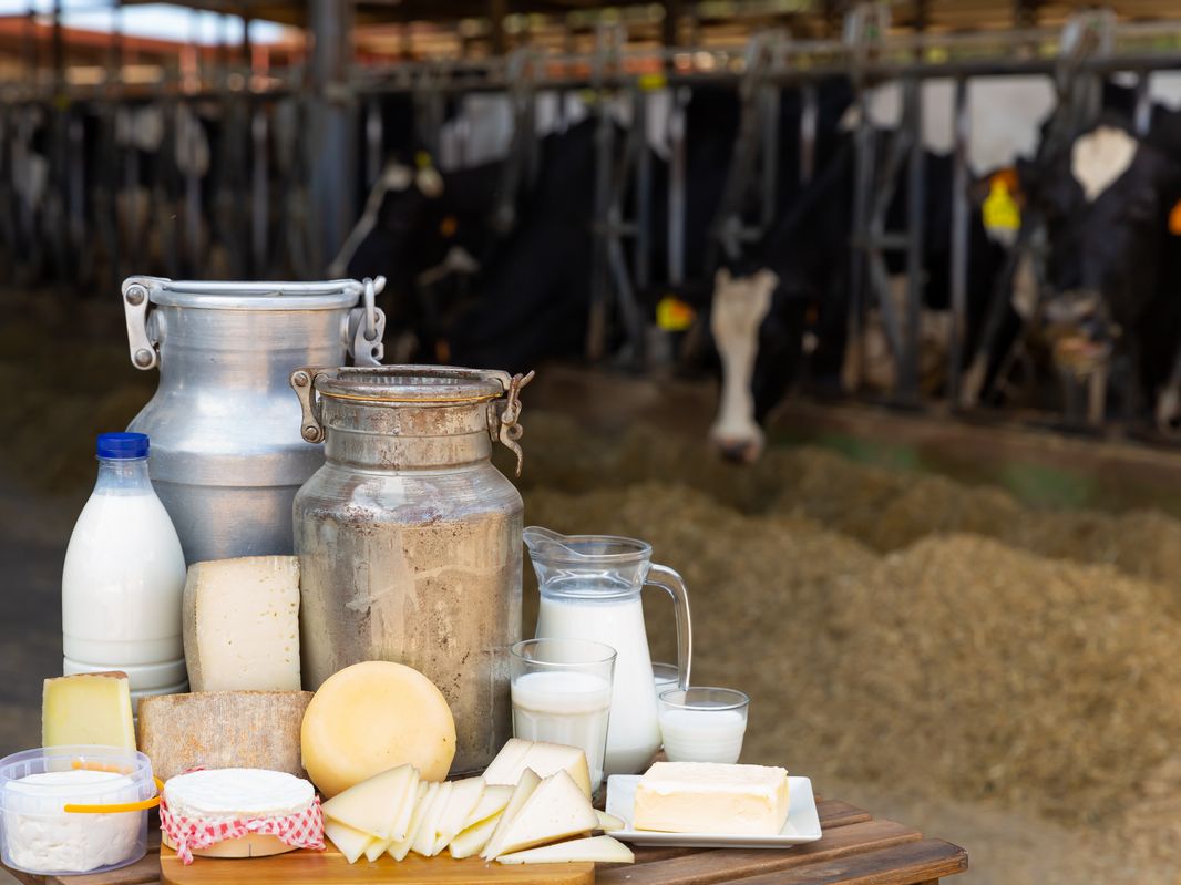 Lattiero-caseario: il valore della filiera sale a 29 miliardi di euro