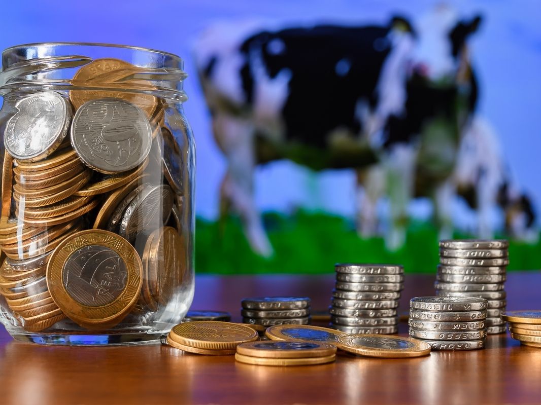 Lattiero-caseario: Banca Intesa San Paolo stanzia un miliardo e mezzo