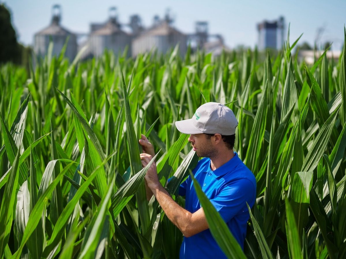 MartinoRossi: crescita del 32% e filiera agricola sostenibile da 16.000 ettari