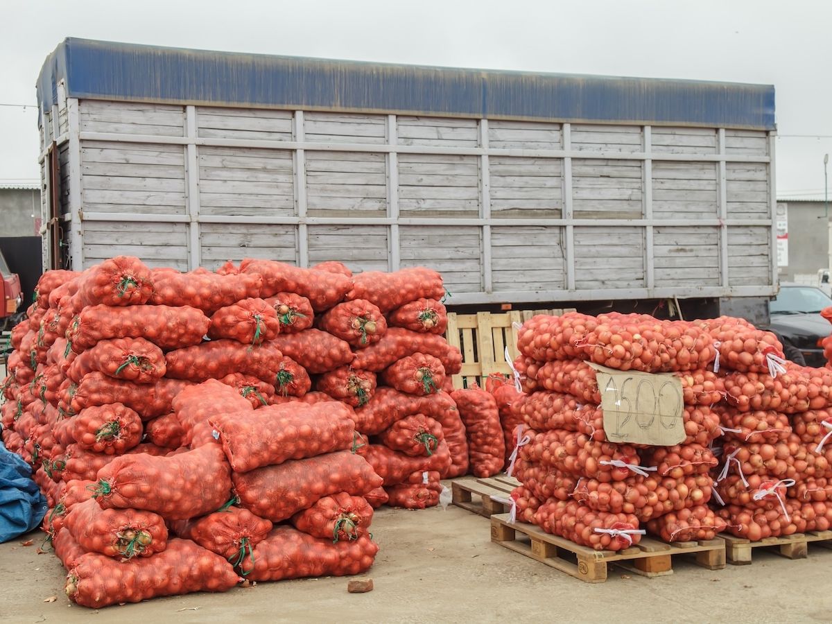 Rapporto Italmercati-Ismea: i mercati all’ingrosso verso un nuovo modello nazionale