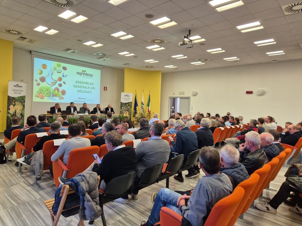 Fruit Modena Group entra in Agrintesa: completato il percorso di fusione