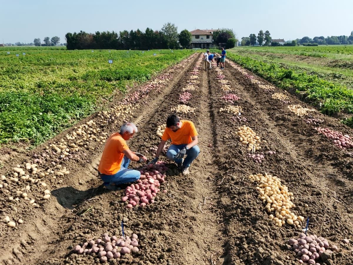 Romagnoli F.lli presenta il quinto Rapporto di sostenibilità