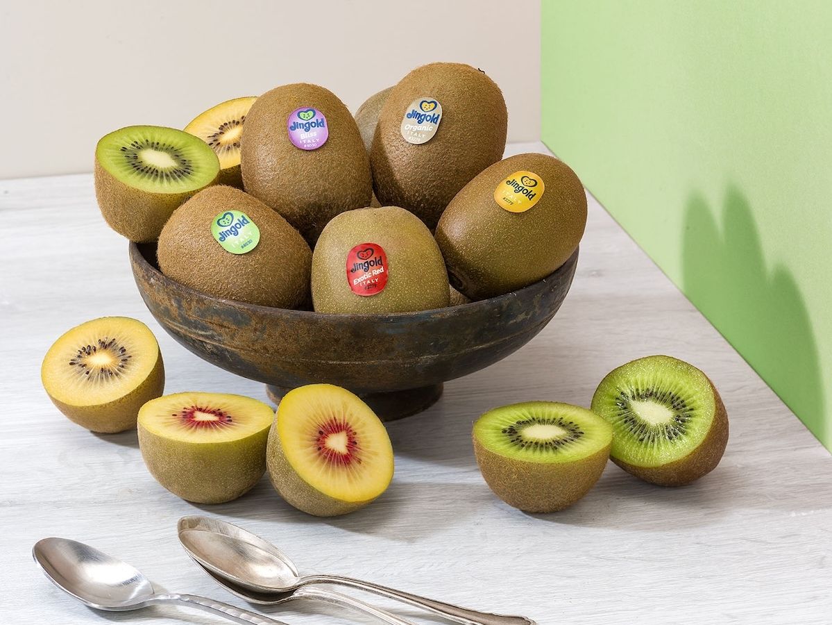 Jingold: parte con slancio la nuova stagione del kiwi nell'emisfero Nord