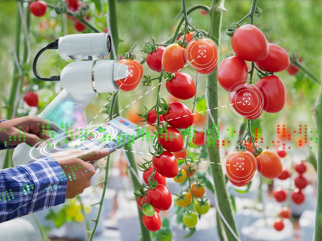 Casalasco apre l’Innovation Center. Cosa c’è nella nuova struttura?