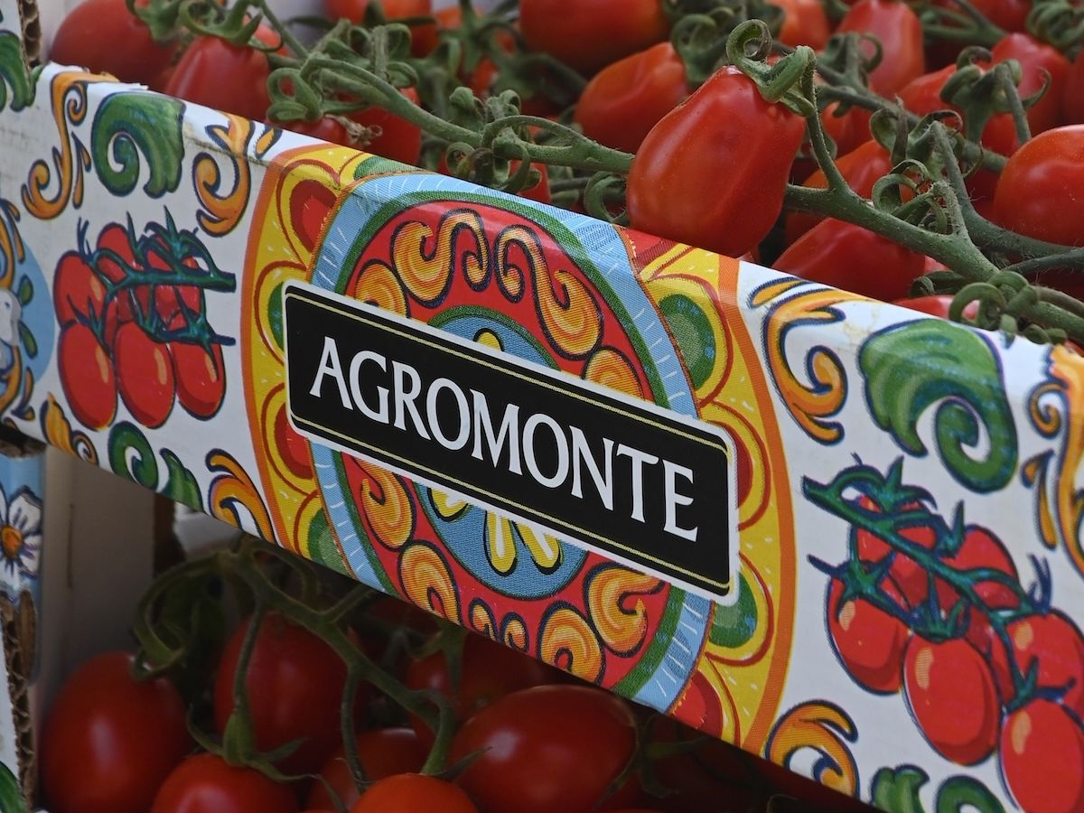 Agromonte: 90% di materia prima da terreni di proprietà e investimenti strategici per il futuro