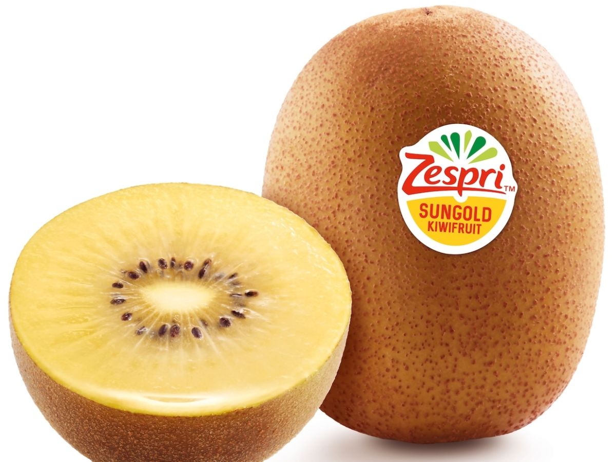 Zespri presente a Bologna al Fan Village della Coppa Davis Final 8 2025