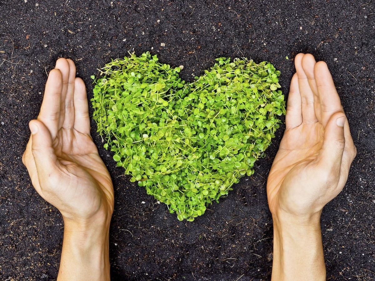 COP30, appello FederBio: la transizione agroecologica deve essere una priorità 