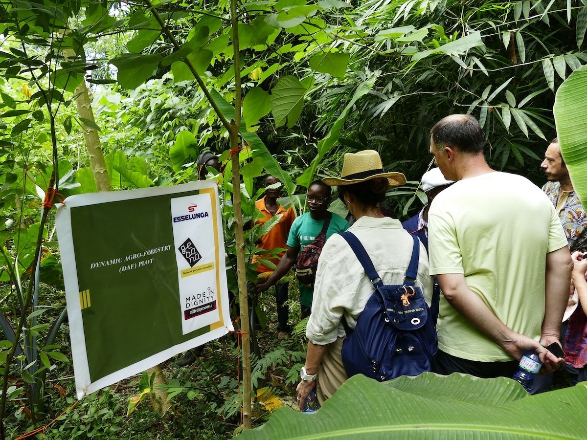 Esselunga e Altromercato rafforzano la filiera del cacao sostenibile nelle comunità del Togo