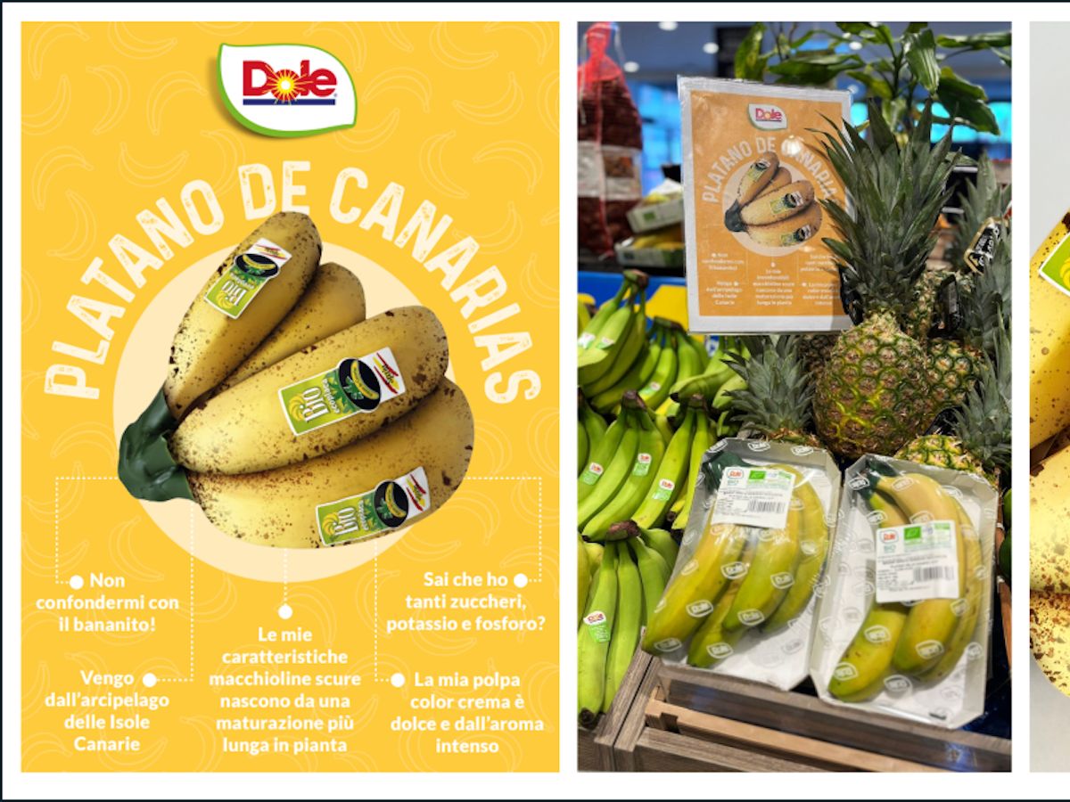 Plátano De Canarias Igp: Dole Italia amplia la distribuzione dopo il successo del lancio 
