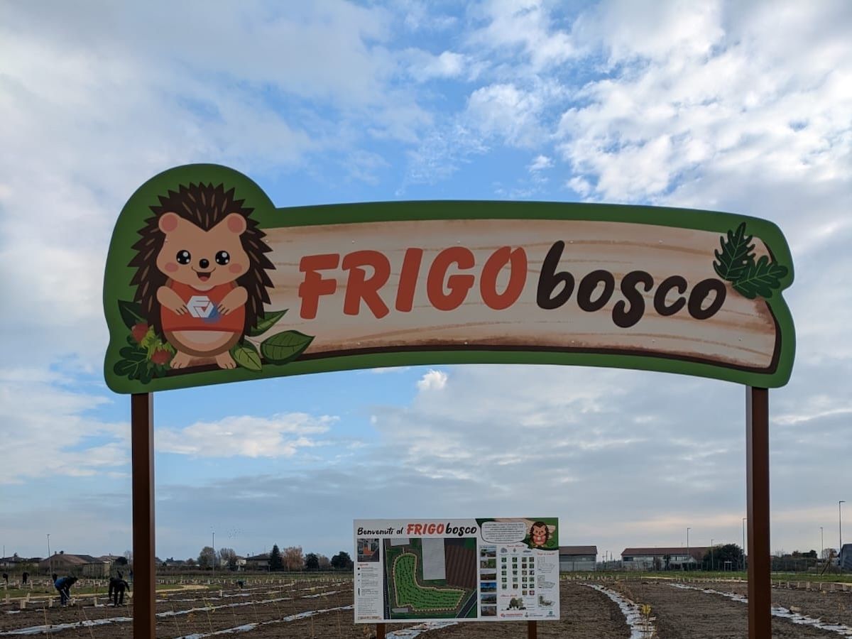Frigoveneta pianta il suo bosco: nasce Frigobosco, progetto che porta la natura nell’industria