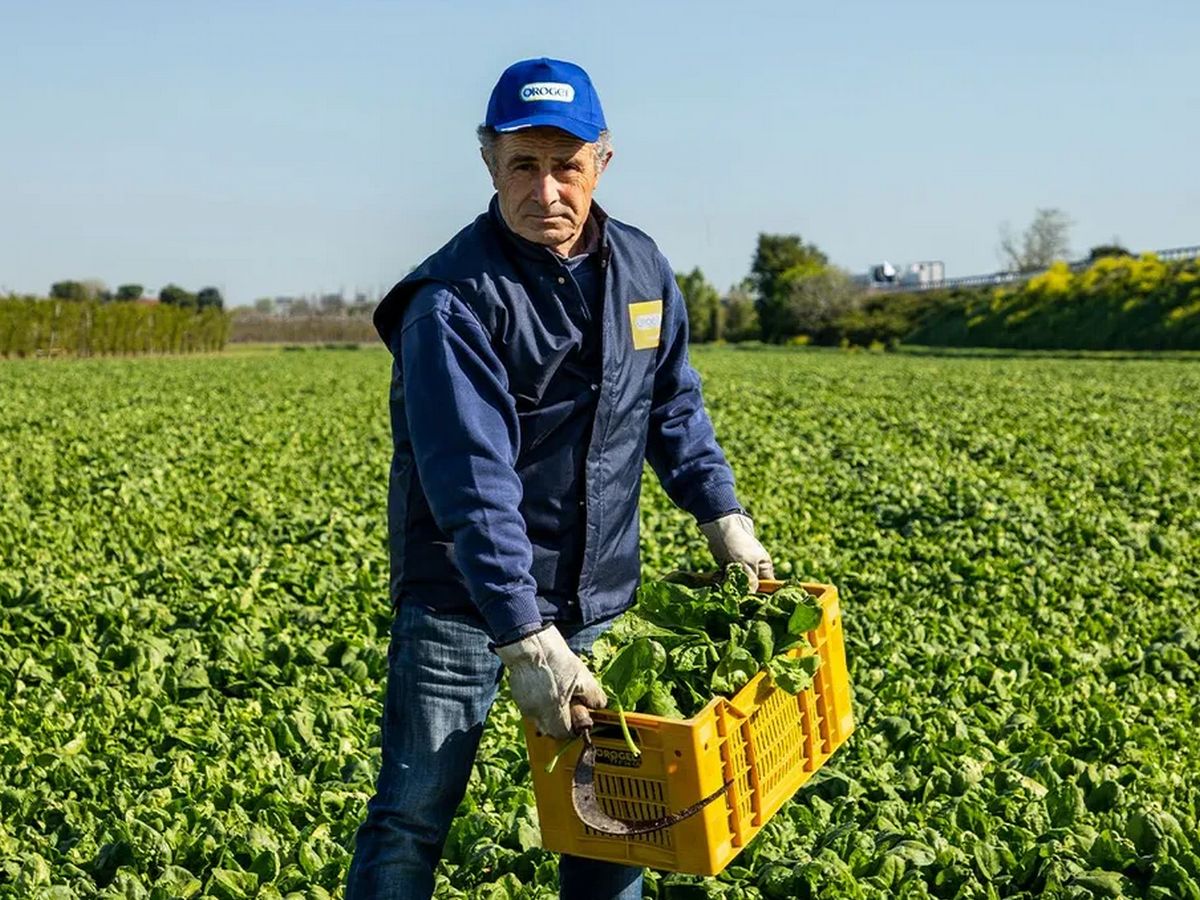 Orogel: da Cdp e Bcc Iccrea arriva un maxifinanziamento per le filiere agricole