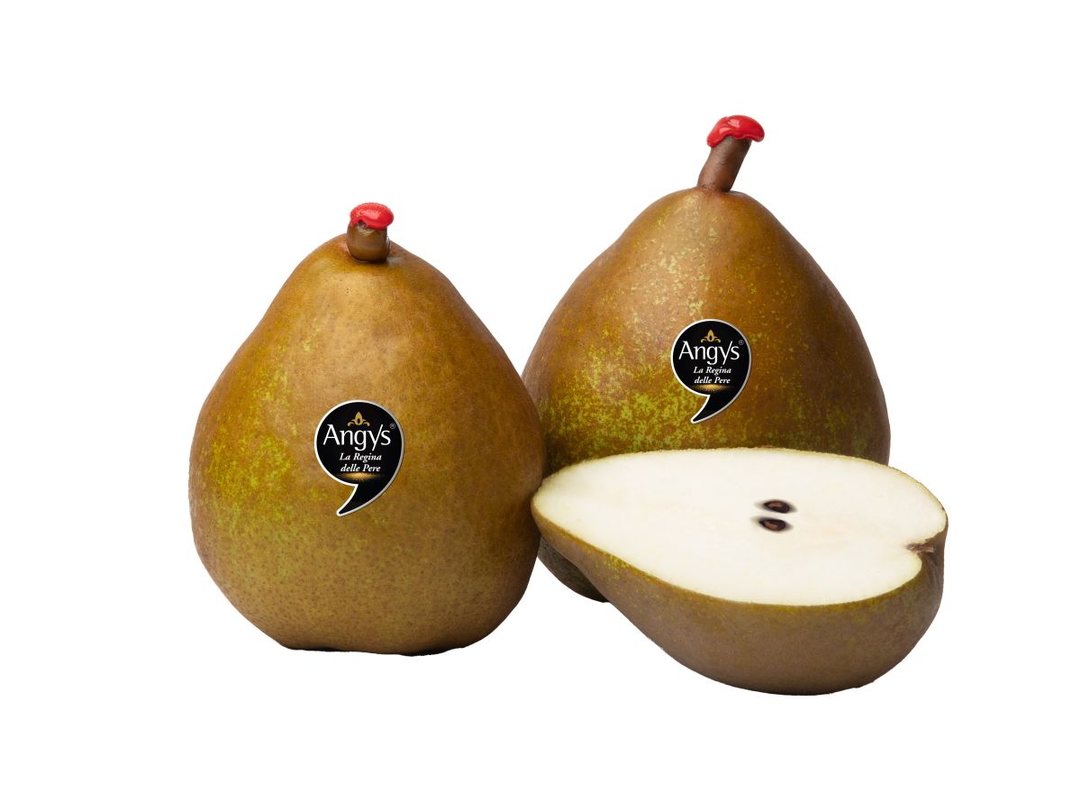 Pera Angys: al via in anticipo la nuova stagione con una campagna digital e in store a supporto