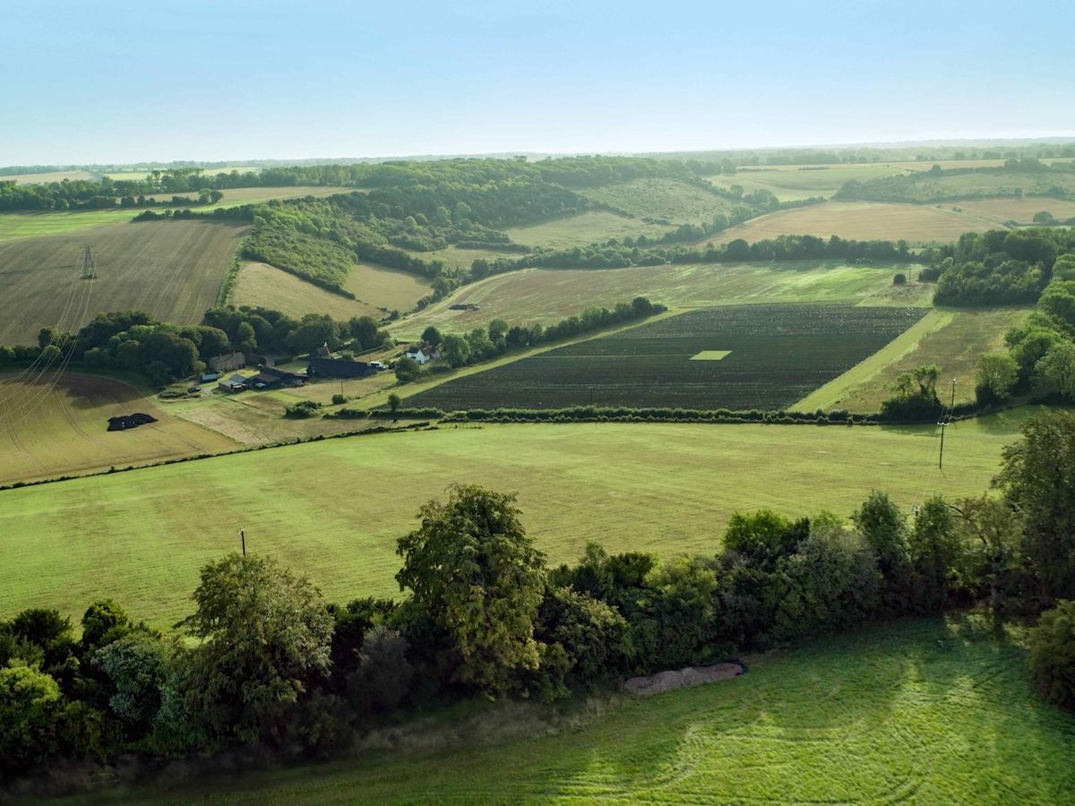 Purina rafforza l’impegno per l’agricoltura rigenerativa: collaborazione con Biospheres