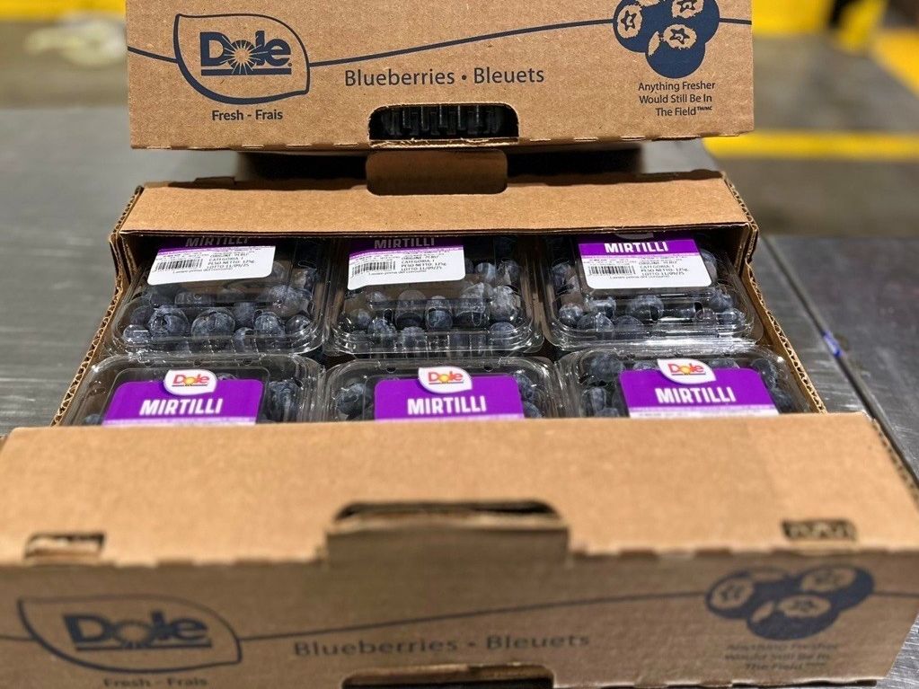 Dole Italia porta sul mercato italiano mirtilli freschi di varietà premium