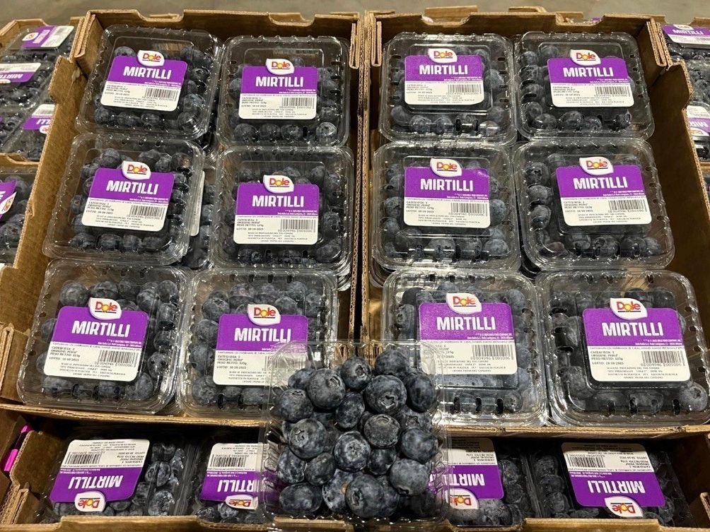 Dole Italia porta sul mercato italiano mirtilli freschi di varietà premium