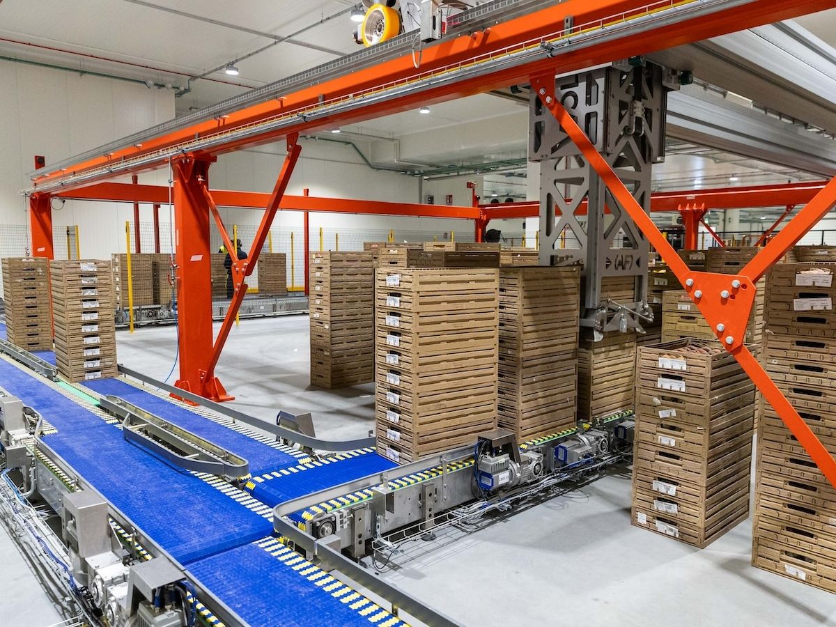 Iperal introduce le casse riutilizzabili di Tosca 