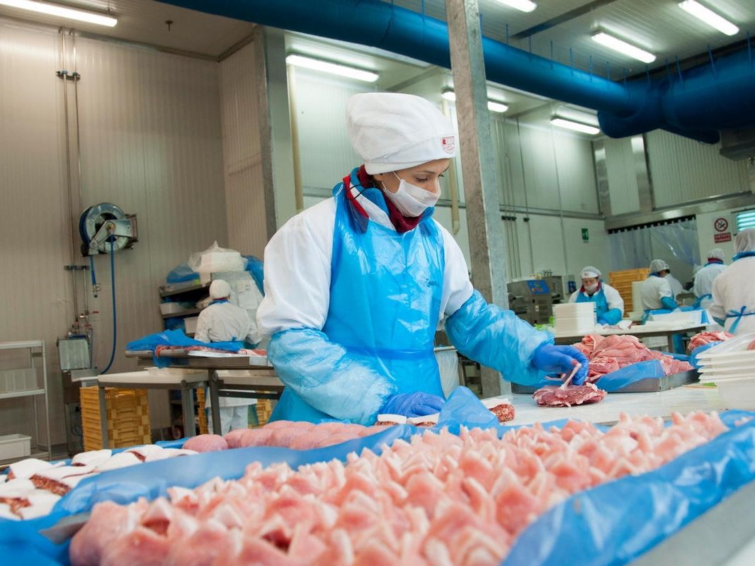 Terremerse pronta a cedere le carni a Ma.ge.ma (Gruppo Martini)