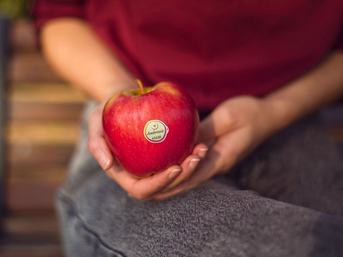 Ambrosia: stagione 2025 all’insegna della qualità e di una comunicazione potenziata