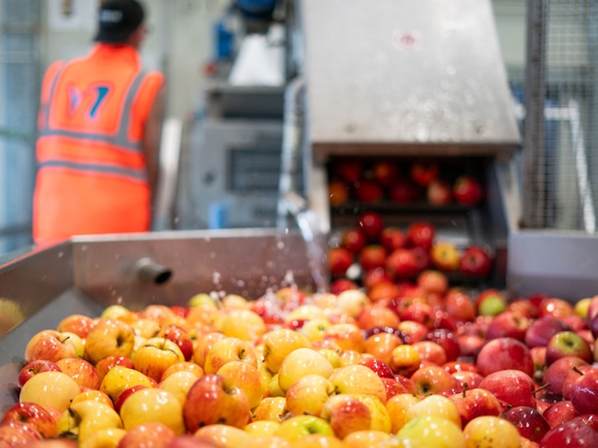 Futura: responsabilità, territorio e persone nel primo report di sostenibilità 