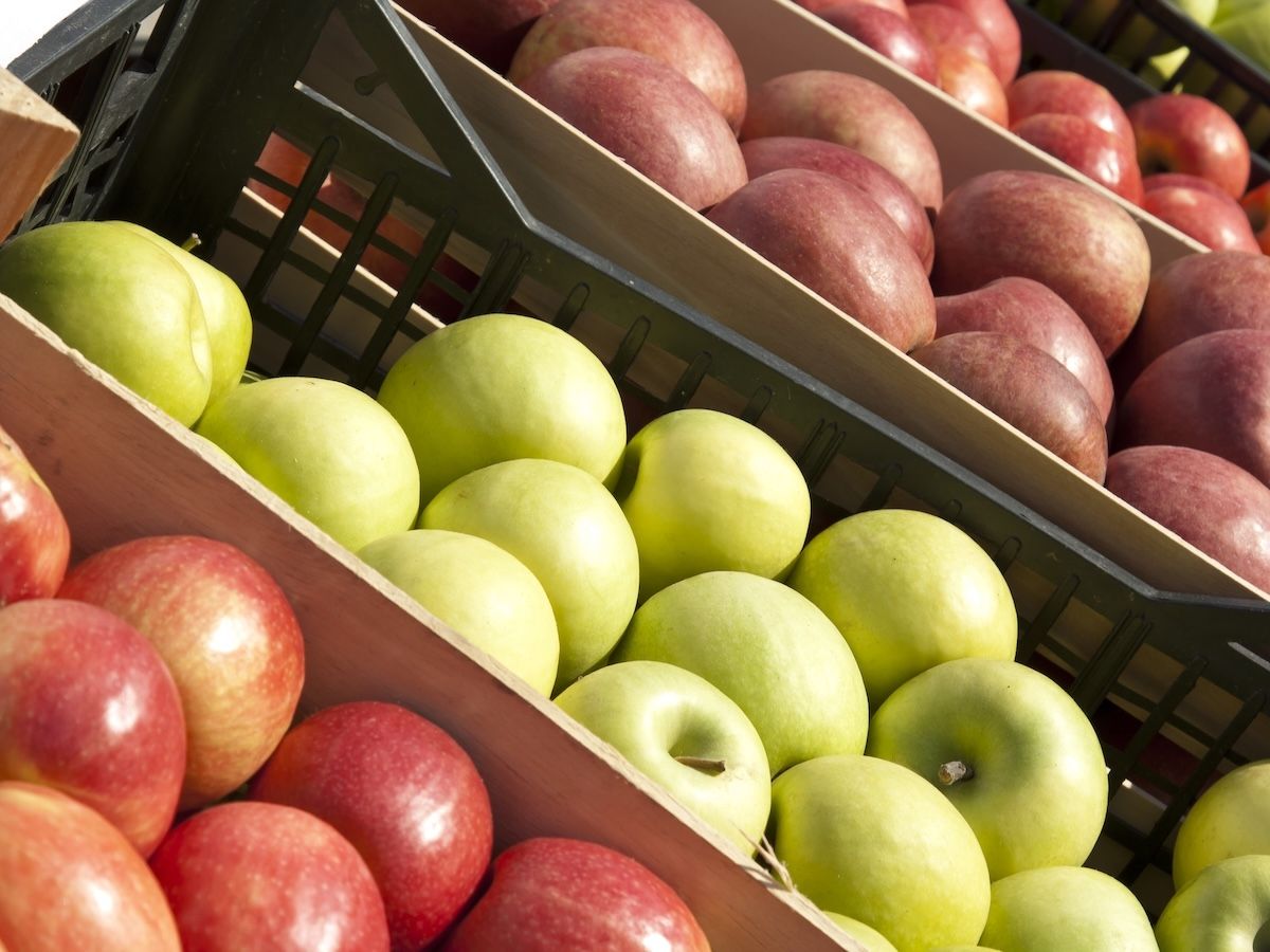 Ortofrutta: consumi domestici in recupero costante nei primi nove mesi del 2025