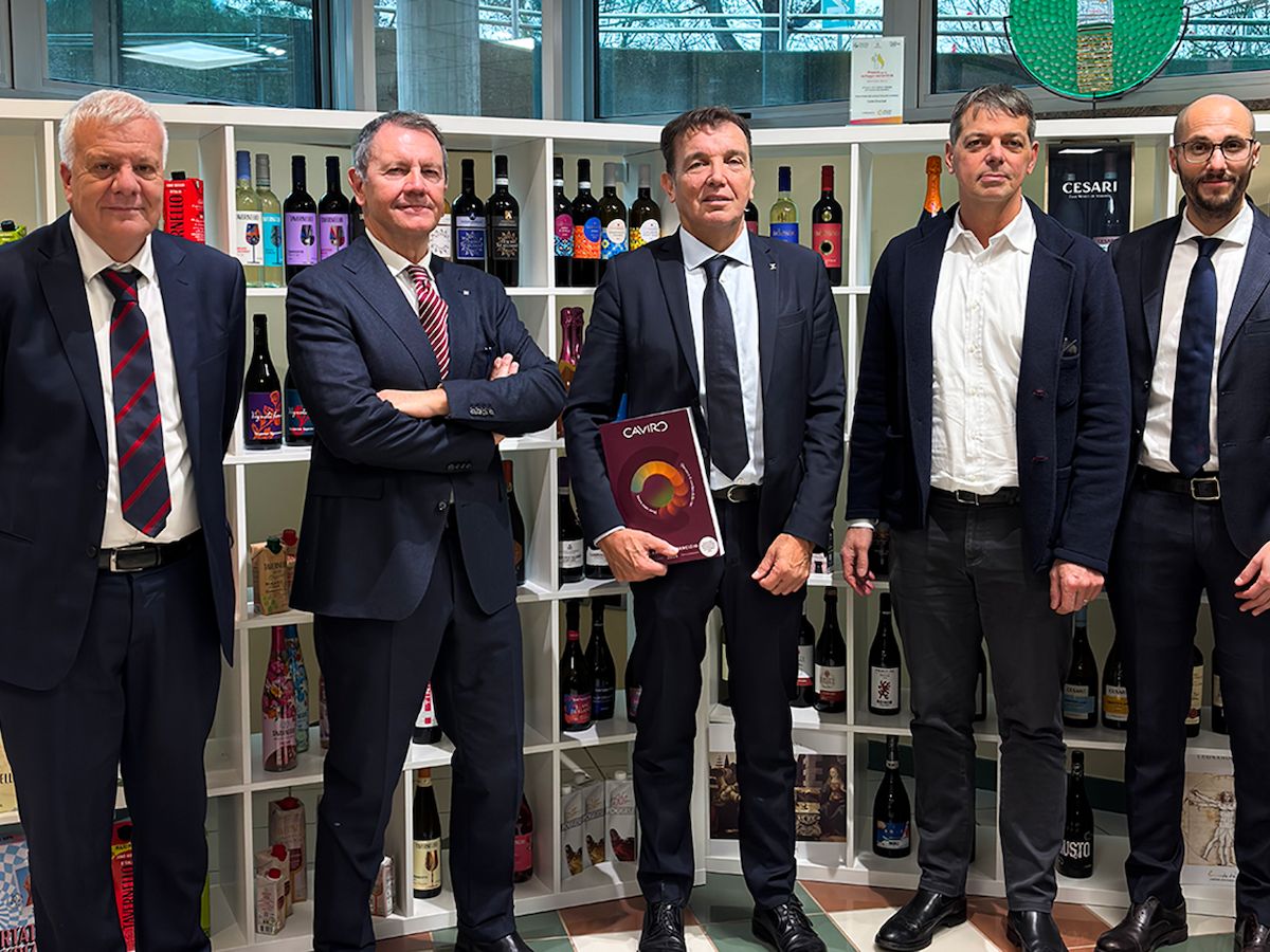 Caviro chiude il bilancio 2024-2025: difesa della marginalità e riequilibrio gestionale