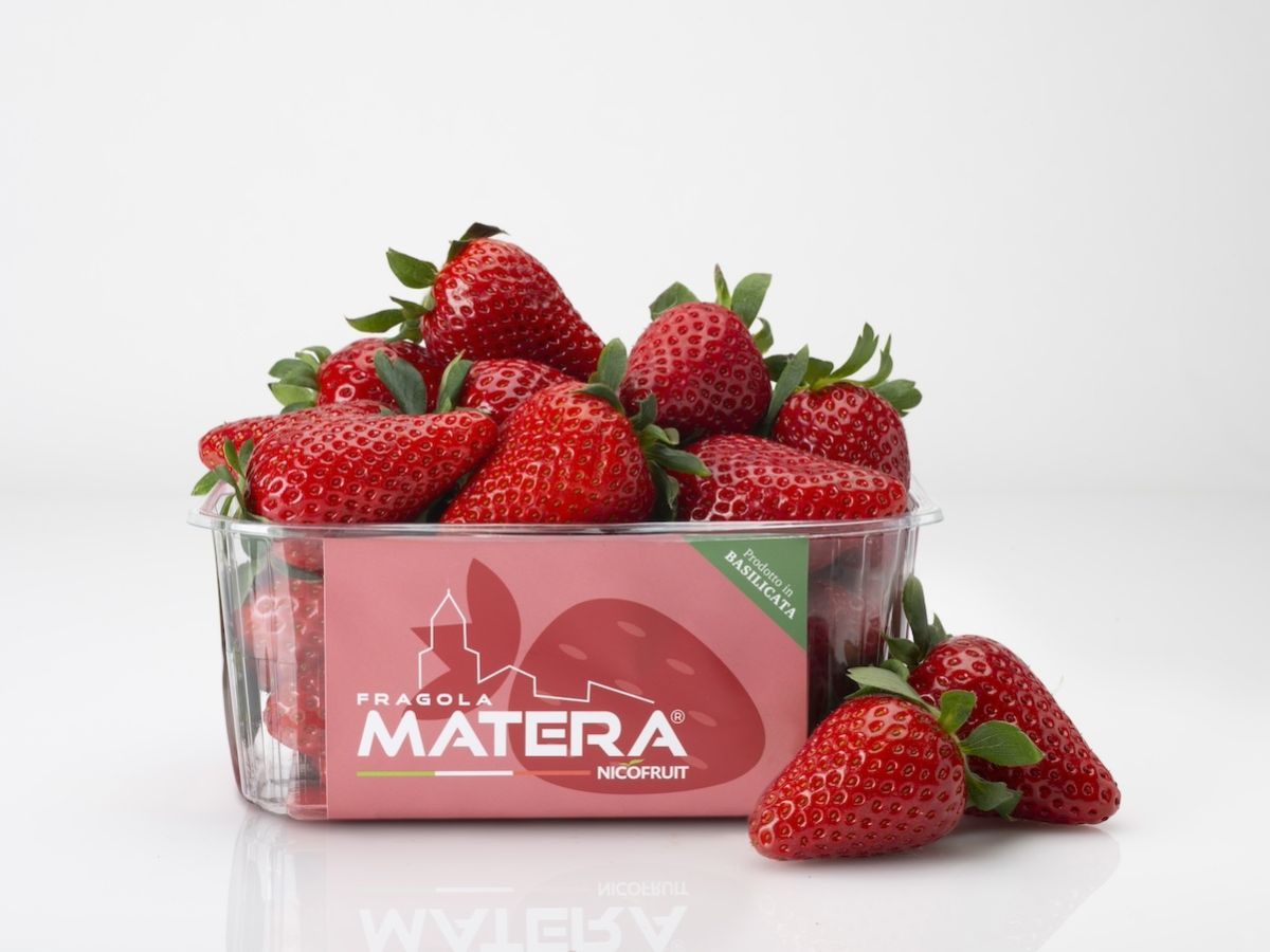 Ilip e Nicofruit–Frutthera Growers insieme per un packaging sostenibile che valorizza il brand 1