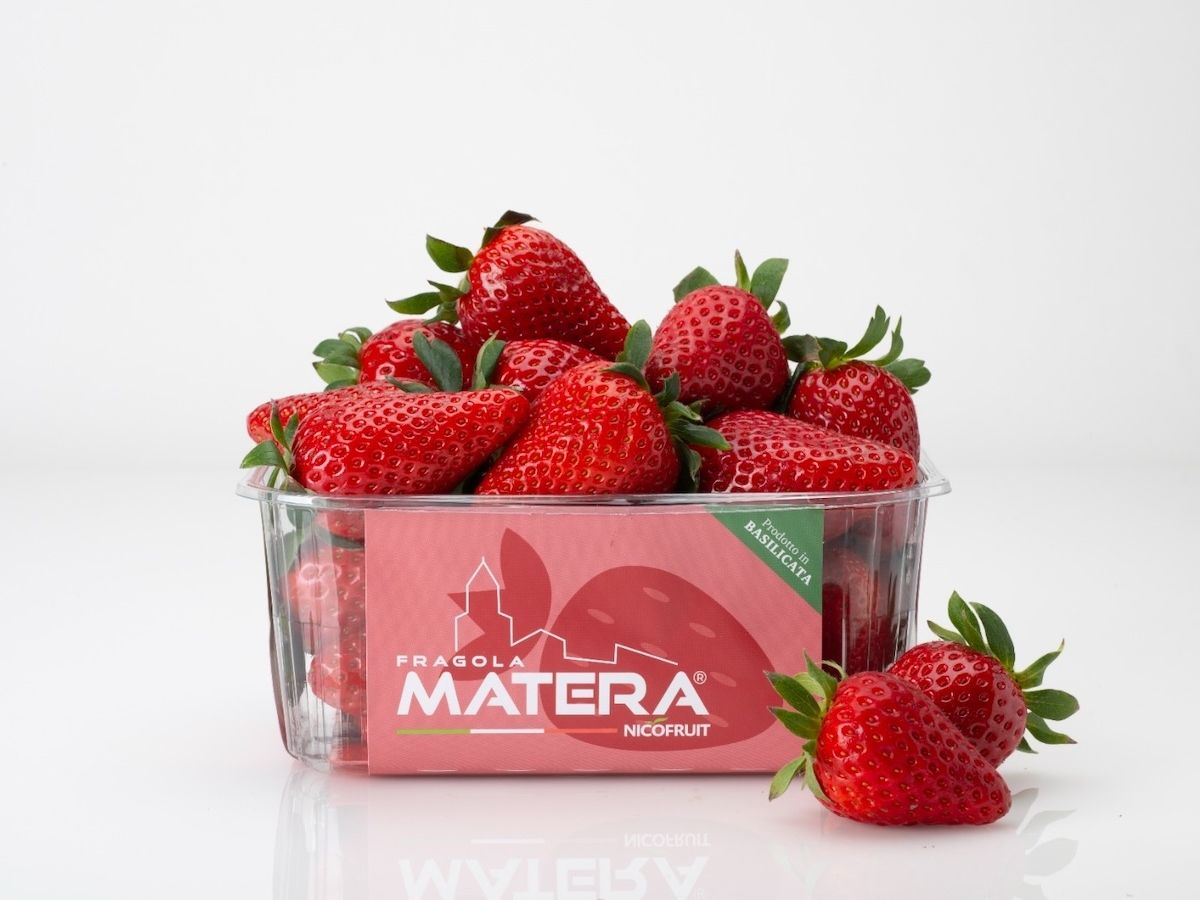 La Fragola Della Basilicata ottiene l’Igp e diventa simbolo di qualità e filiera organizzata