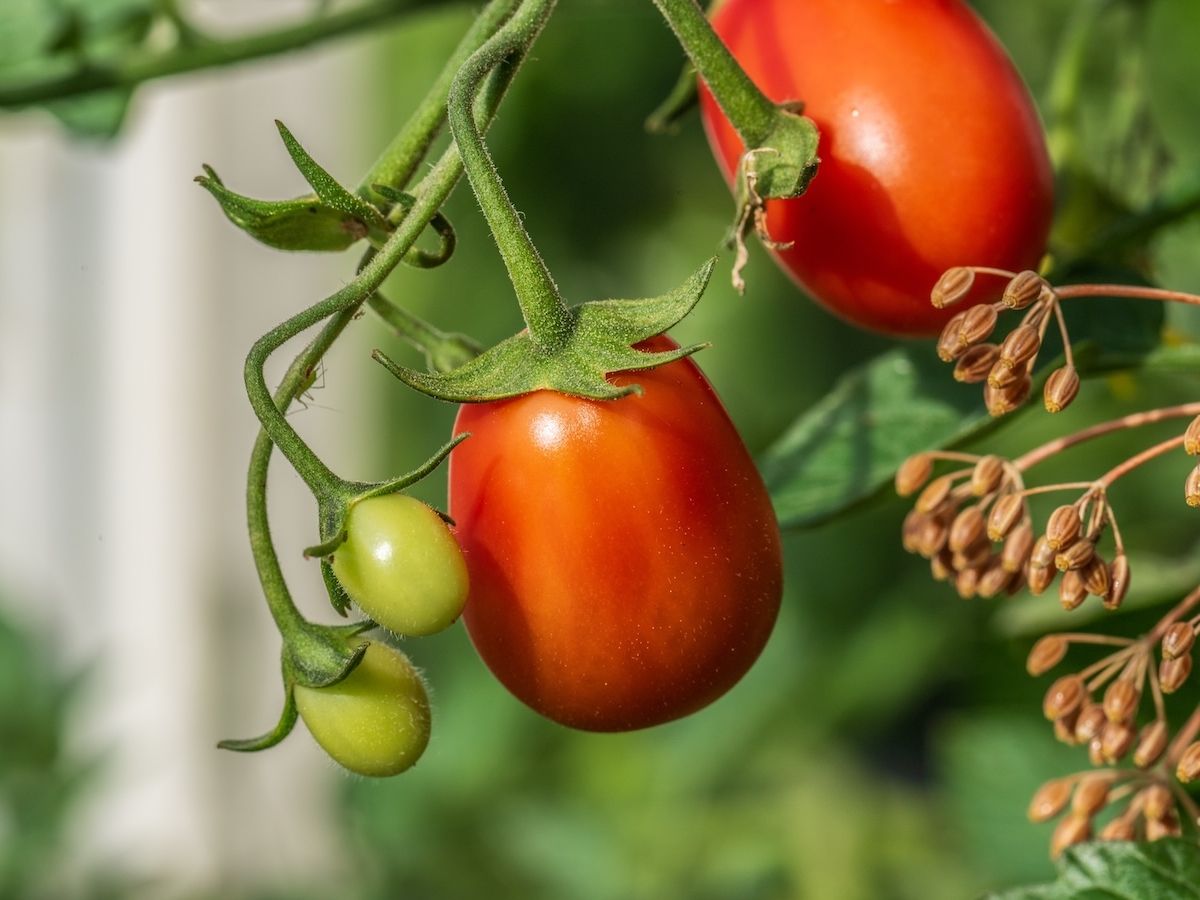 Abc Company finalizza operazione di private debt da 6 milioni di euro per Le Due Valli