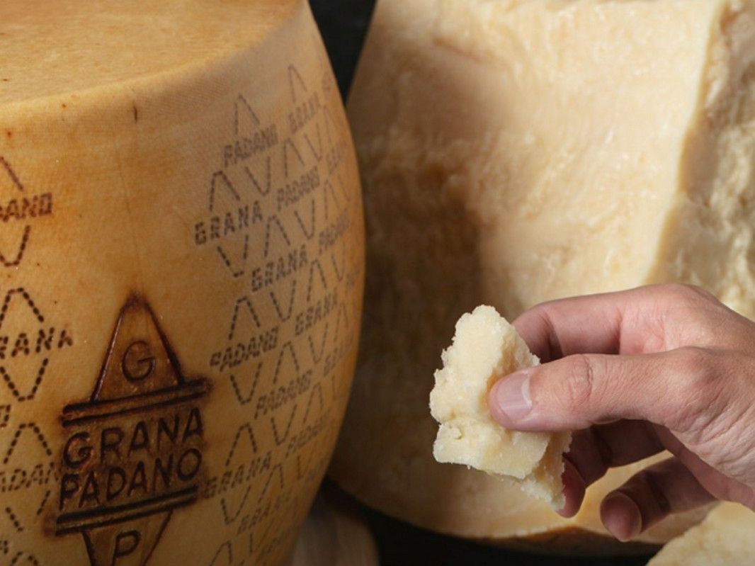 Grana Padano: accordo da 500 milioni di euro fra Banca Mps e Consorzio di tutela 