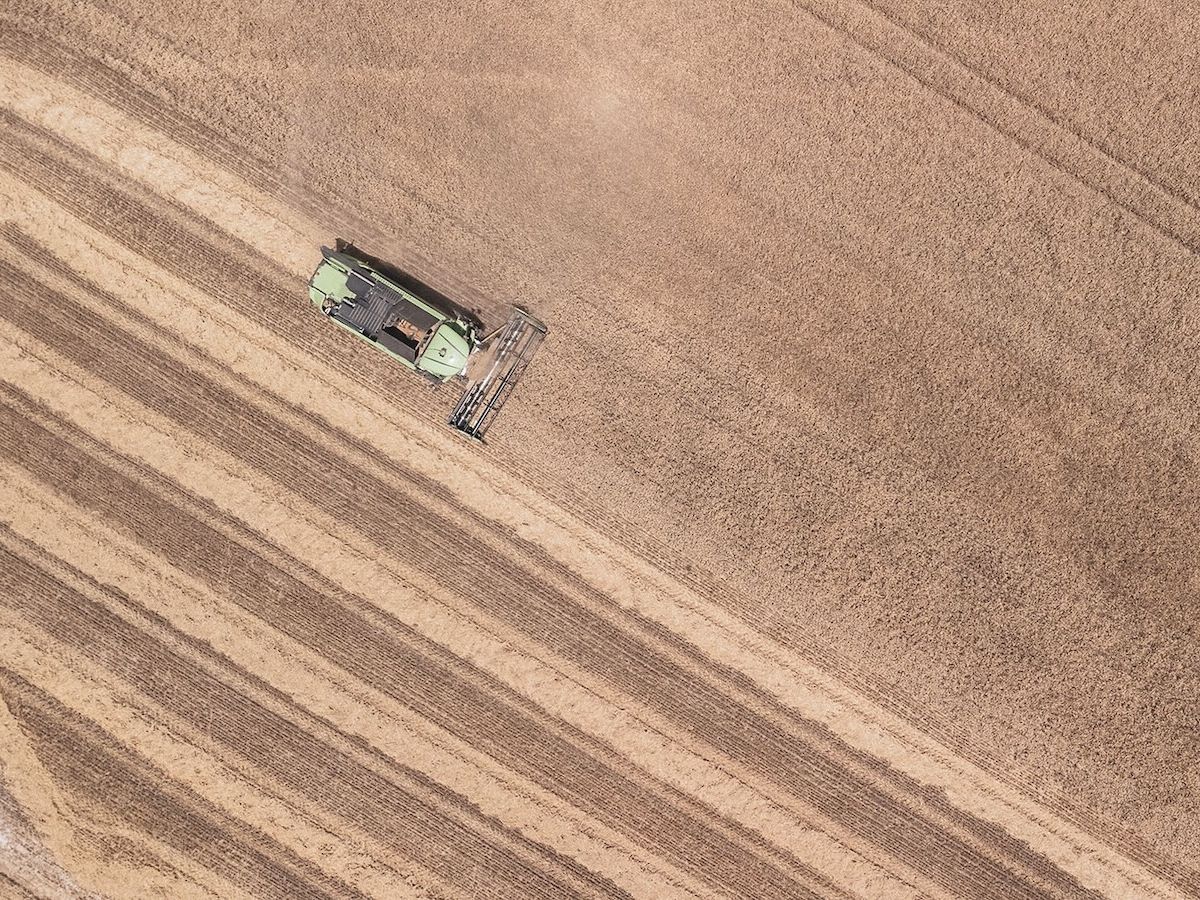 Granoro rafforza il suo impegno per la sostenibilità  e la filiera pugliese