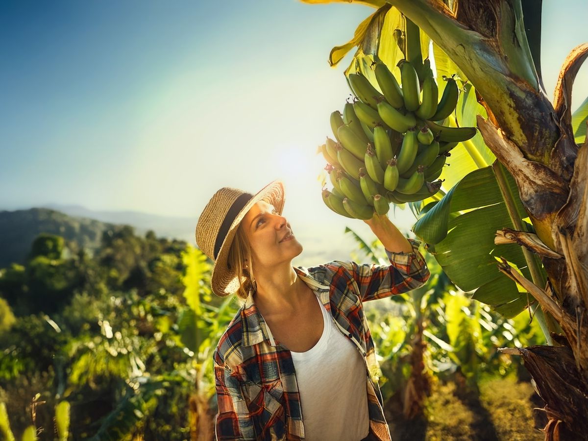 Spreafico presenta il quarto bilancio di sostenibilità e prosegue la crescita responsabile