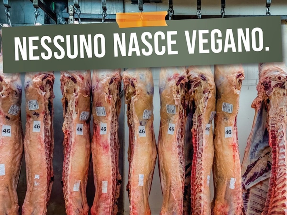 Kioene rivoluziona la comunicazione del settore plant based con un nuovo linguaggio