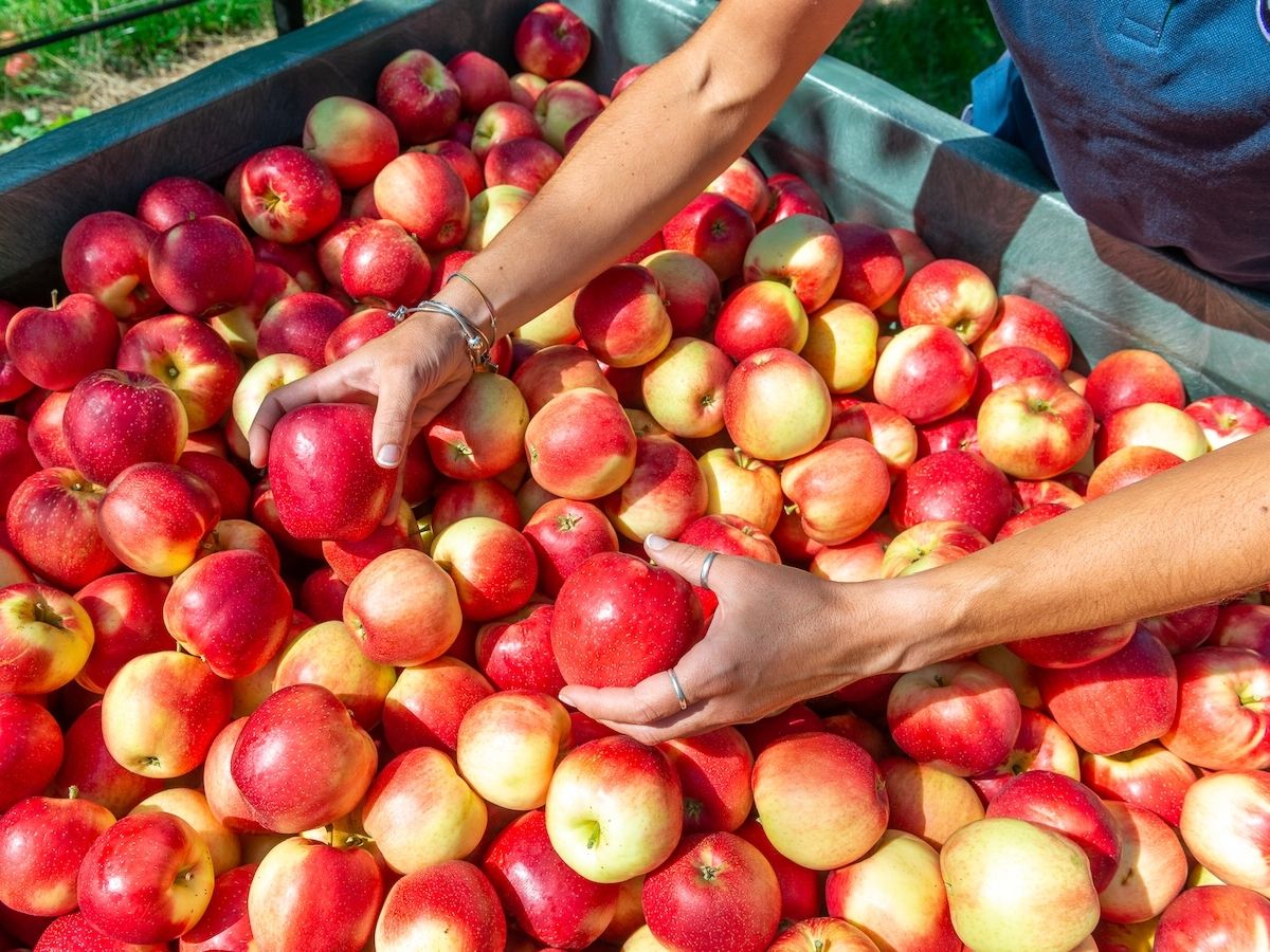 Melinda: bilancio di previsione positivo pur in uno scenario incerto